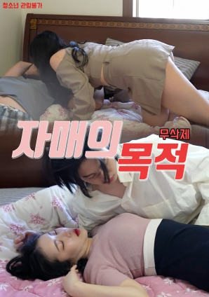 姐妹的意图封面图