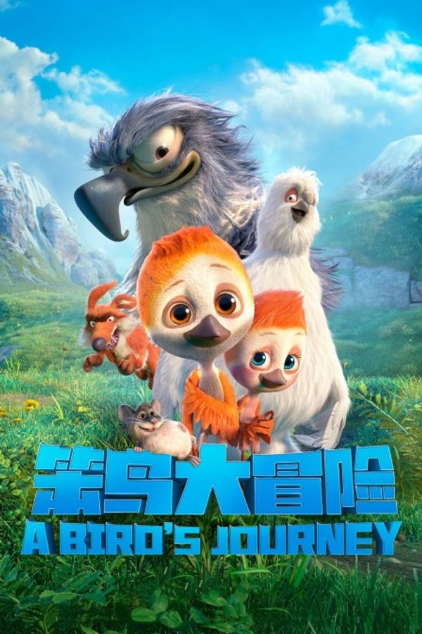 笨鸟大冒险封面图