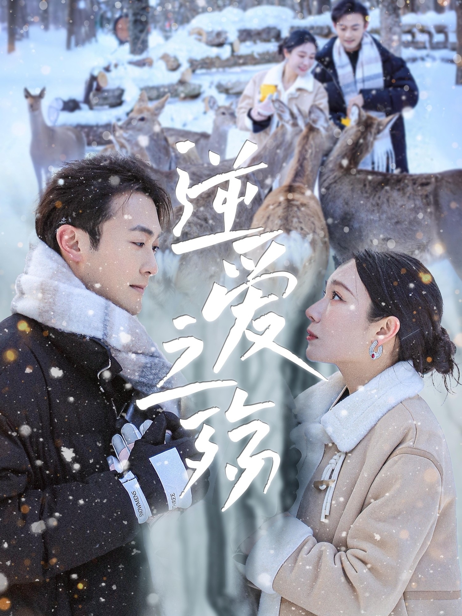 逆爱之殇封面图