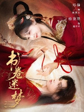 书卷迷梦封面图