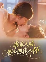 乖乖入局贺少拥我入怀封面图