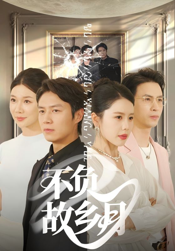 不负故乡月封面图