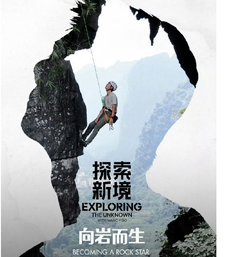 向岩而生封面图