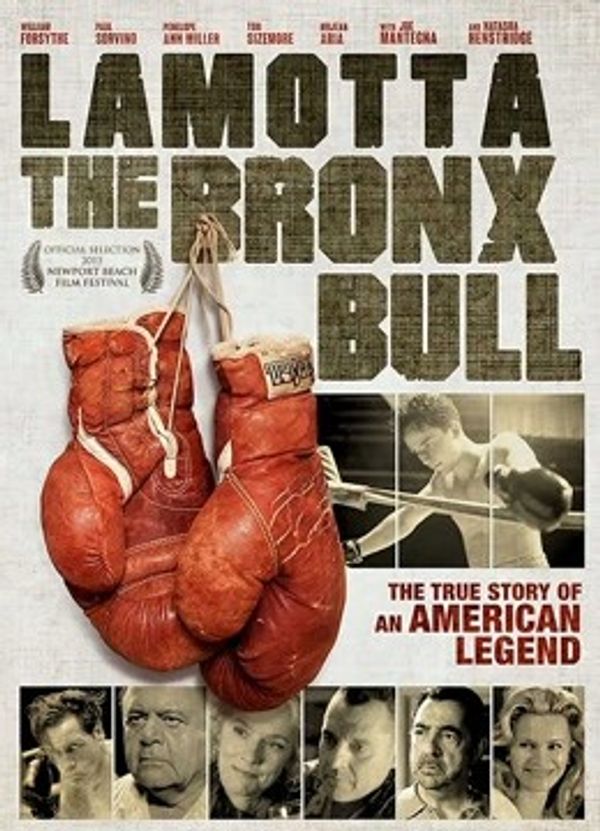 愤怒的公牛2封面图