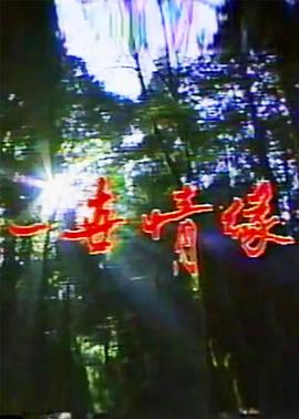 一世情缘封面图