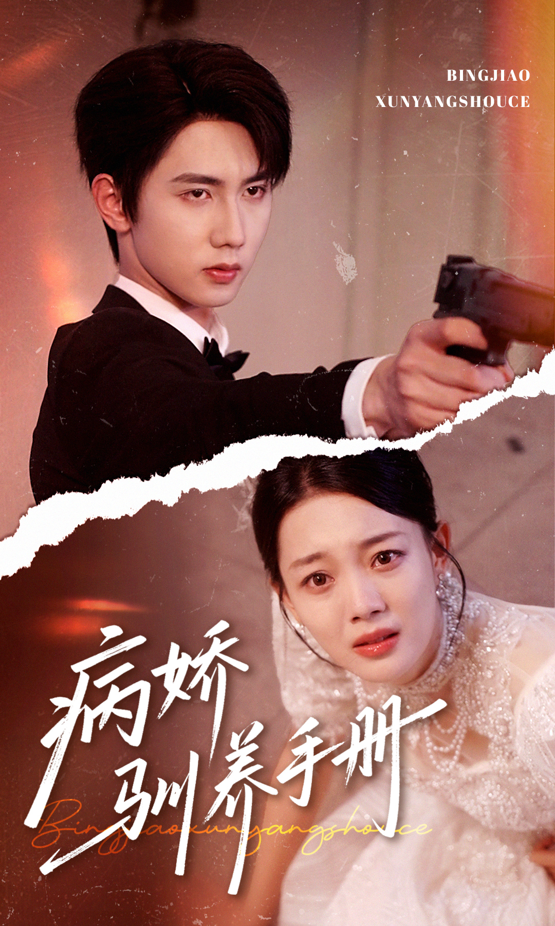 病娇驯养手册封面图