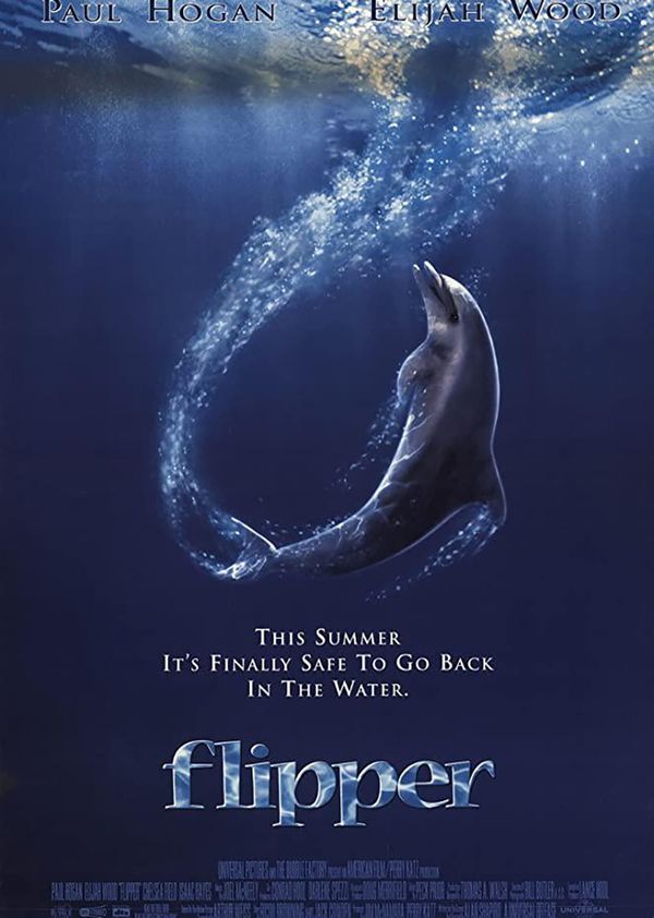 海豚的故事封面图