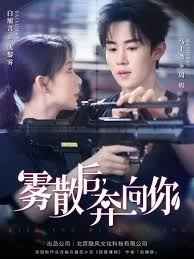 雾散后奔向你封面图