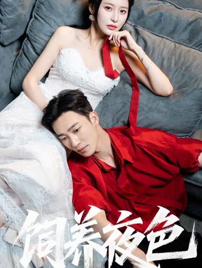 饲养夜色封面图