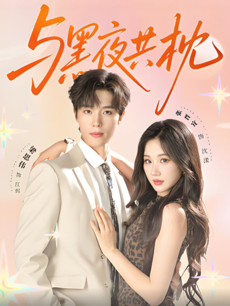 与黑夜共枕封面图