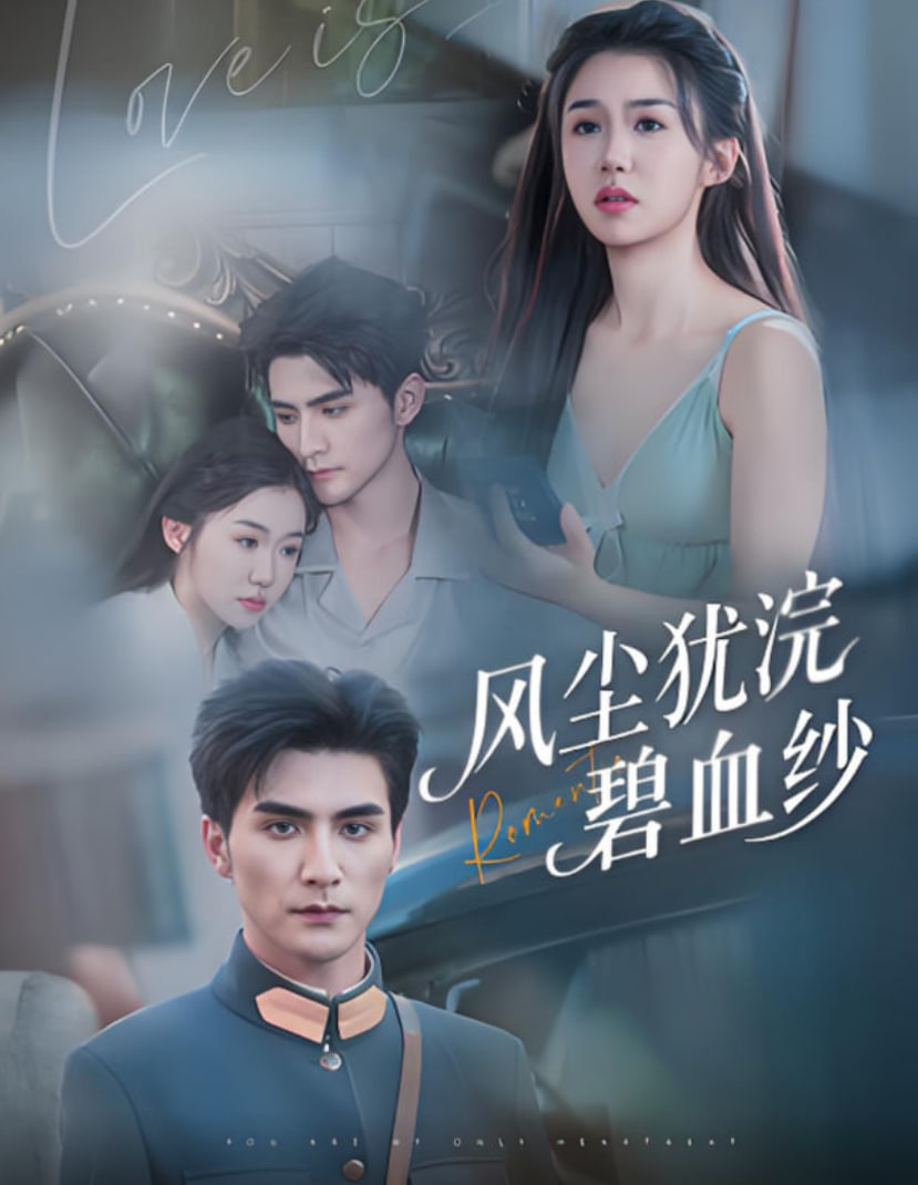 风尘犹浣碧血纱封面图