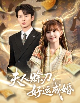 夫人赊刀好运成婚封面图