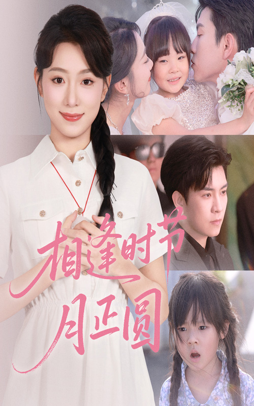 相逢时节月正圆封面图