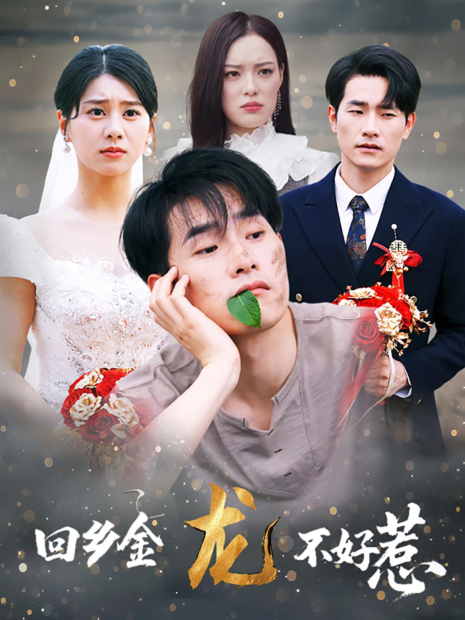 回乡金龙不好惹封面图