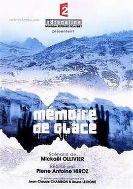 冰冻记忆封面图