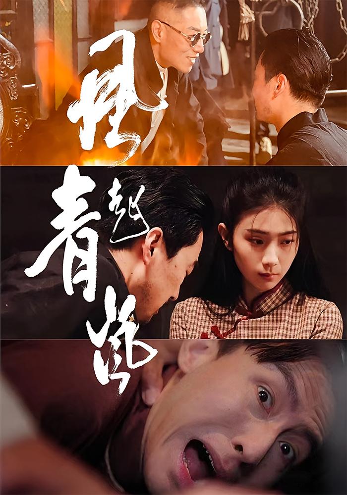 风起青岚封面图