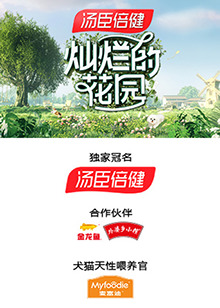 灿烂的花园 云监工封面图