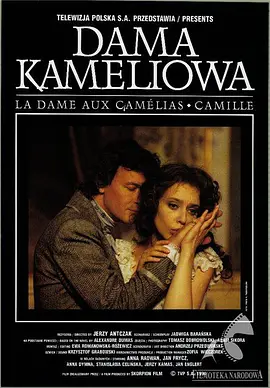 茶花女1995[电影解说]封面图