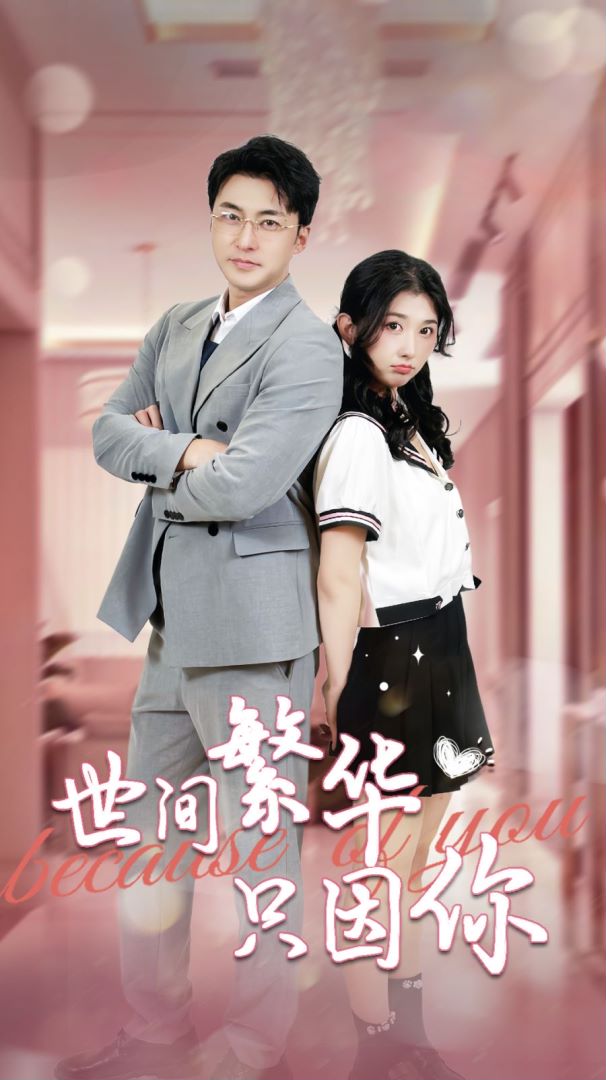 世间繁华只因你封面图