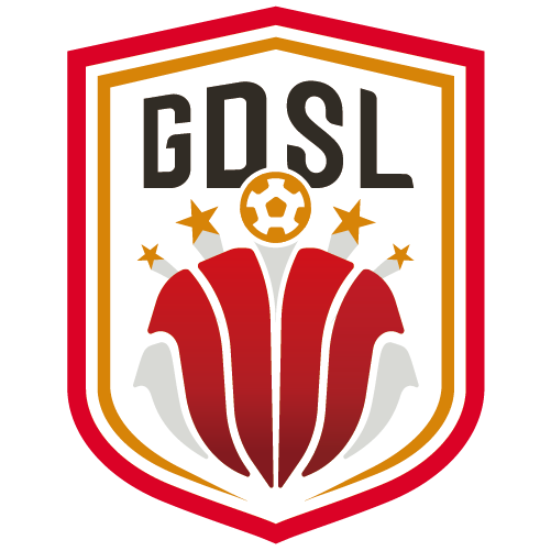 广东省足球超级联赛 河源乐里vs深圳艺品高20250830封面图