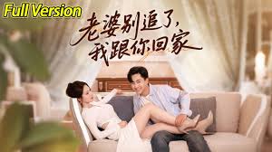 老婆别追了我跟你回家封面图