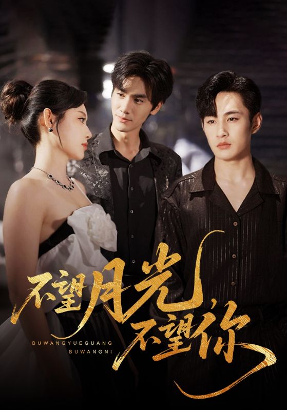 不望月光不望你封面图