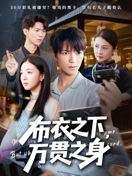 布衣之下万贯之身封面图