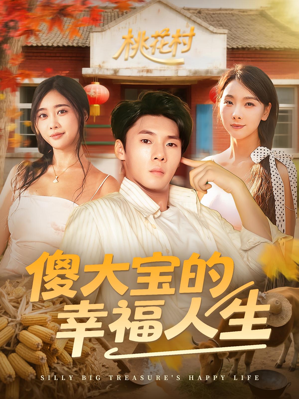 傻大宝的幸福人生封面图