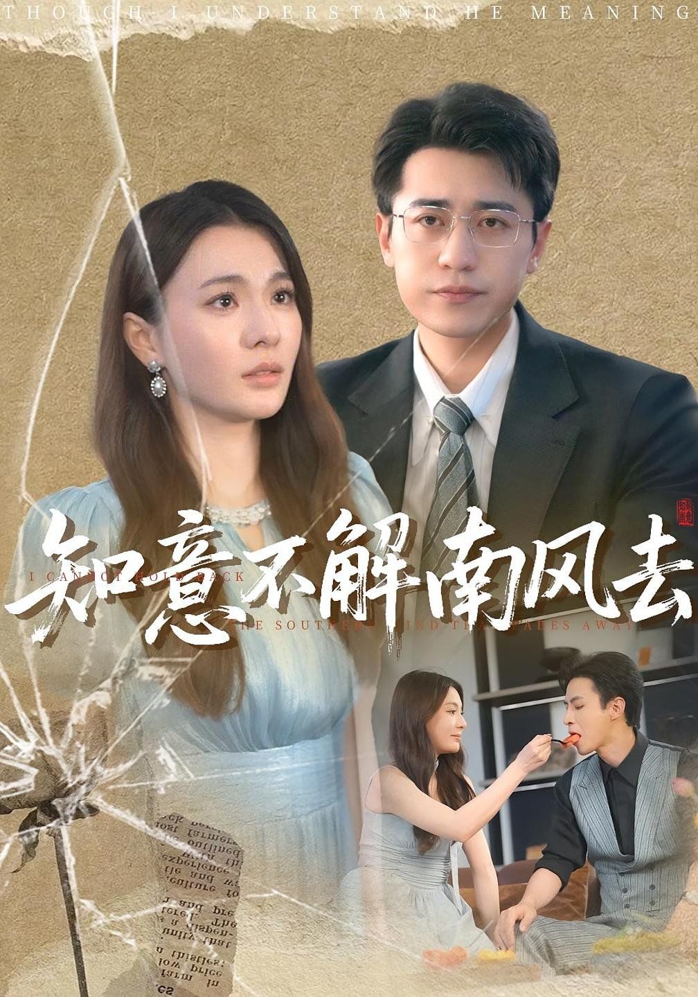 知意不解南风去封面图
