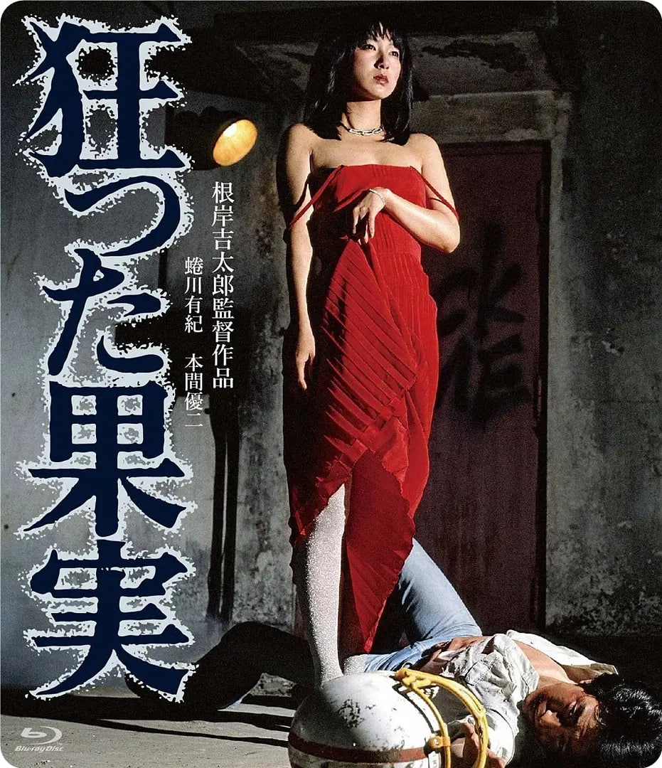 疯狂的果实 1981封面图