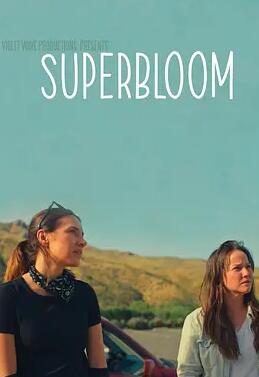 心花怒放2025封面图