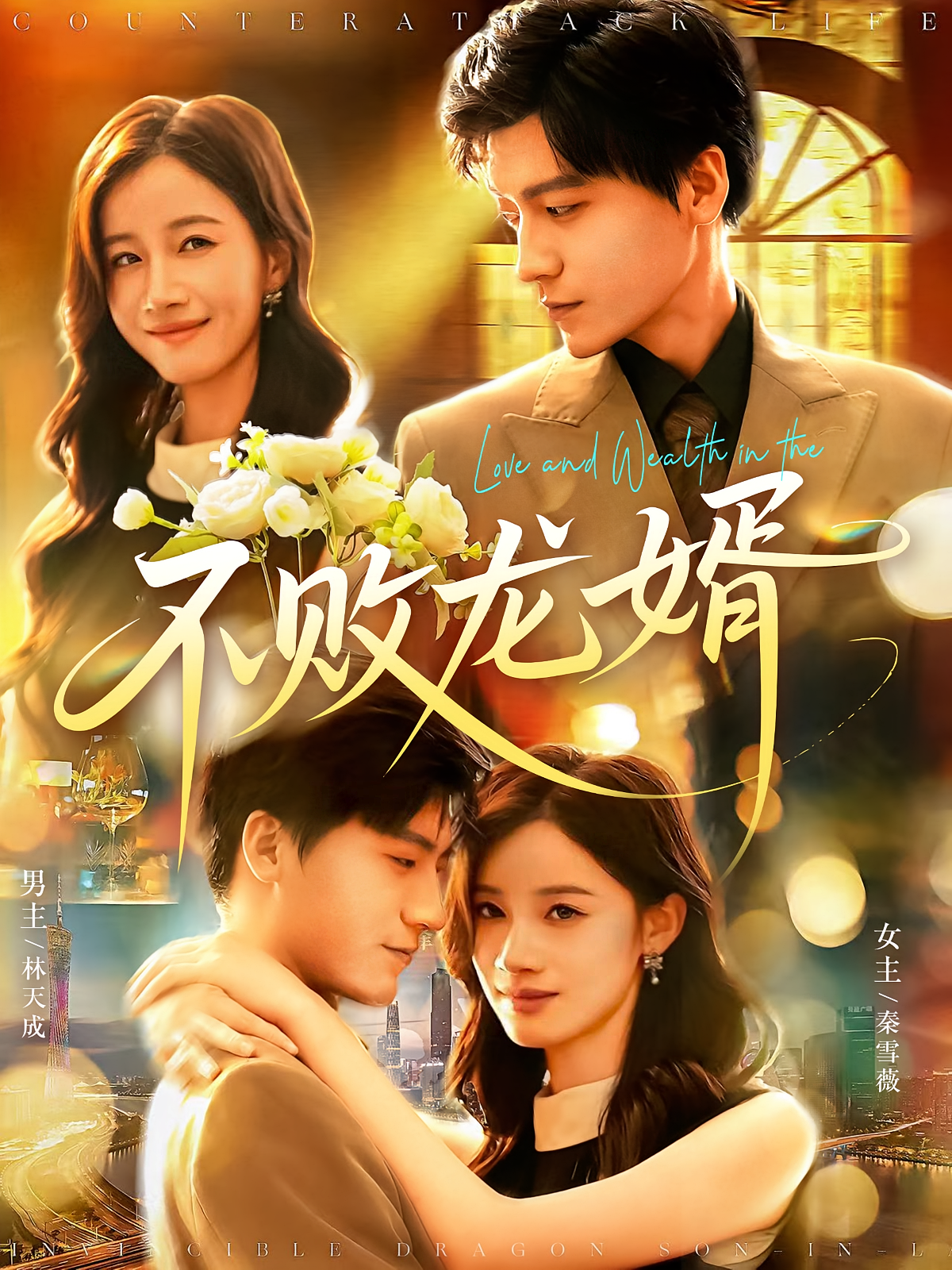 不败龙婿封面图