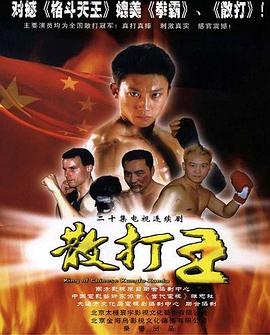 散打王封面图