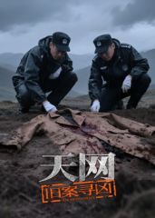 天网：旧案寻凶封面图