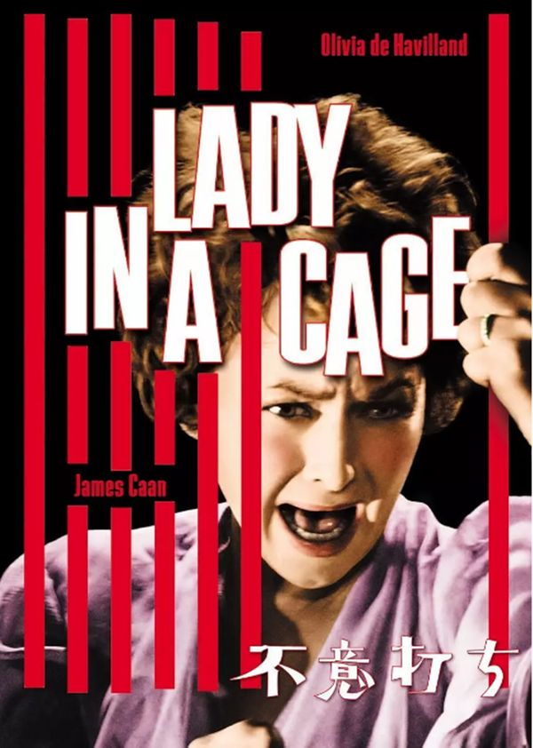 笼子里的女人封面图