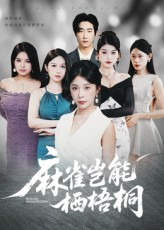 麻雀岂能栖梧桐封面图