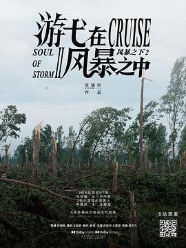 游弋在风暴之中封面图
