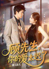 顾先生你的爱太迟了封面图