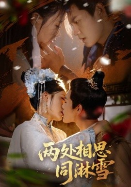 两处相思同淋封面图