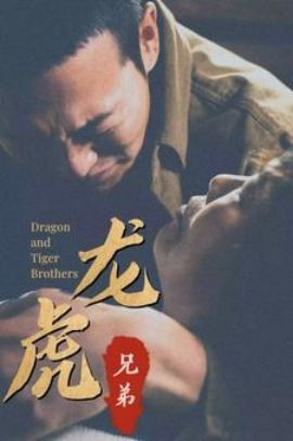 龙虎兄弟国语封面图