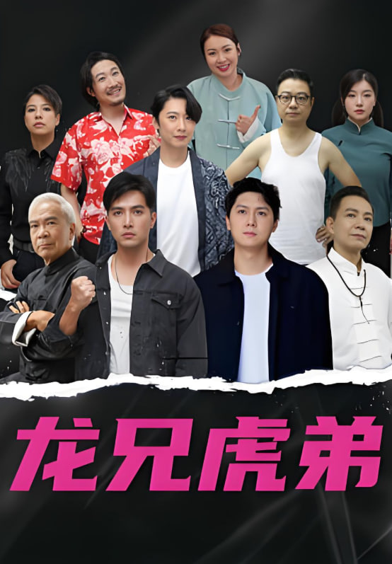 龙虎兄弟 国语版封面图