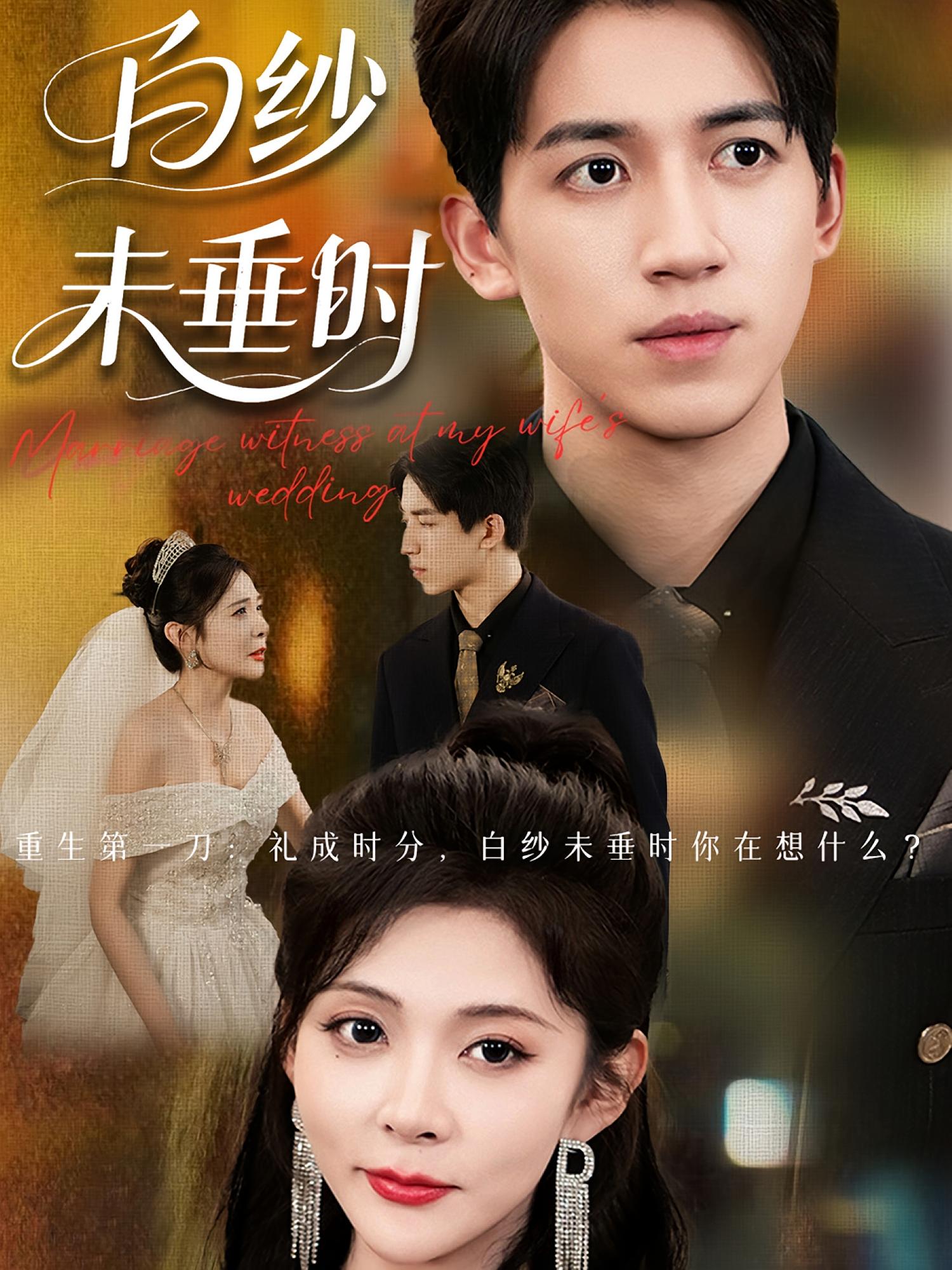 老婆婚礼我当证婚人，白纱未垂时封面图