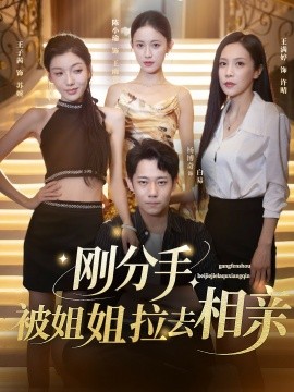 刚分手，被姐姐拉去相亲封面图