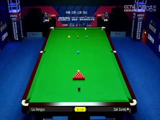 斯诺克玉山世界公开赛16进8 刘宏宇2-5扎克·舒尔第 20250226封面图