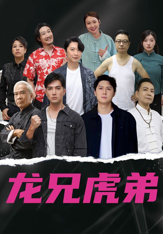 龙兄虎弟中文版封面图