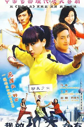 我的功夫女友封面图