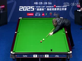斯诺克玉山世界公开赛16进8 大卫·利利1-5阿里·卡特  20250226封面图