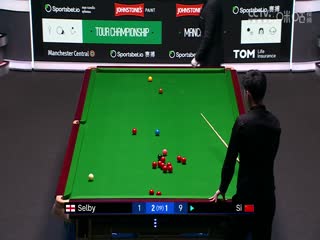 斯诺克巡回锦标赛12进8 马克·塞尔比6-2斯佳辉（第一阶段） 20250402封面图