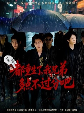 都重生了我兄弟多点不过分封面图