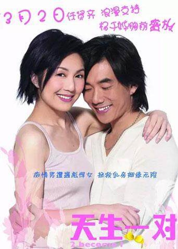 天生一对 2006封面图